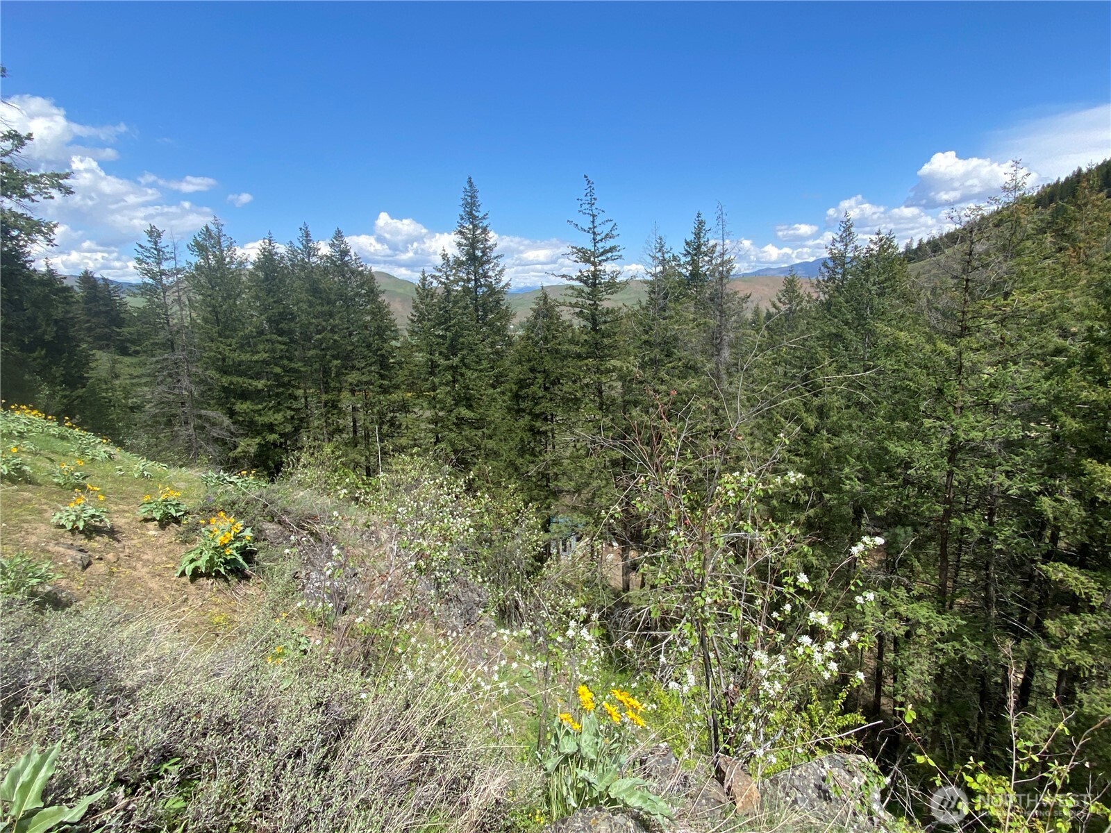 102 Elbow Canyon Road Twisp, WA 98856 - Photo 13 of 33