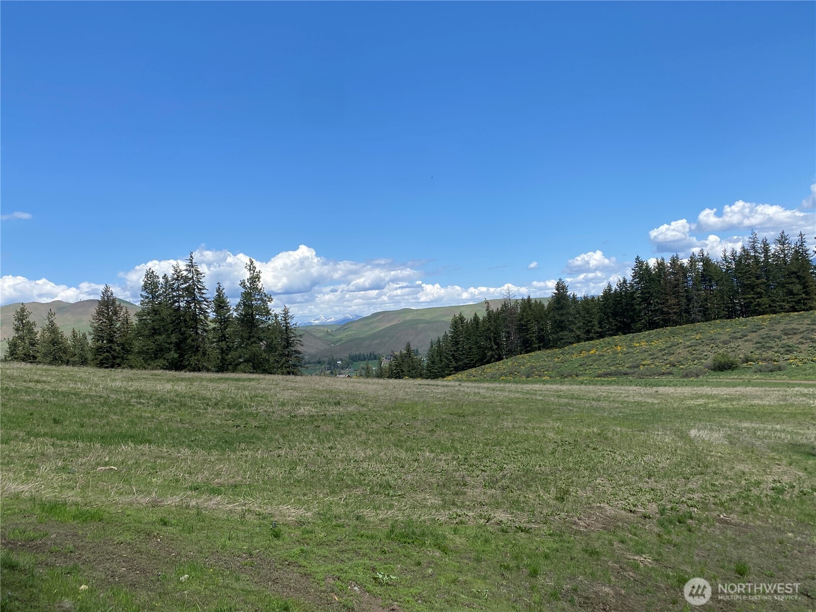 102 Elbow Canyon Road Twisp, WA 98856 - Photo 14 of 33