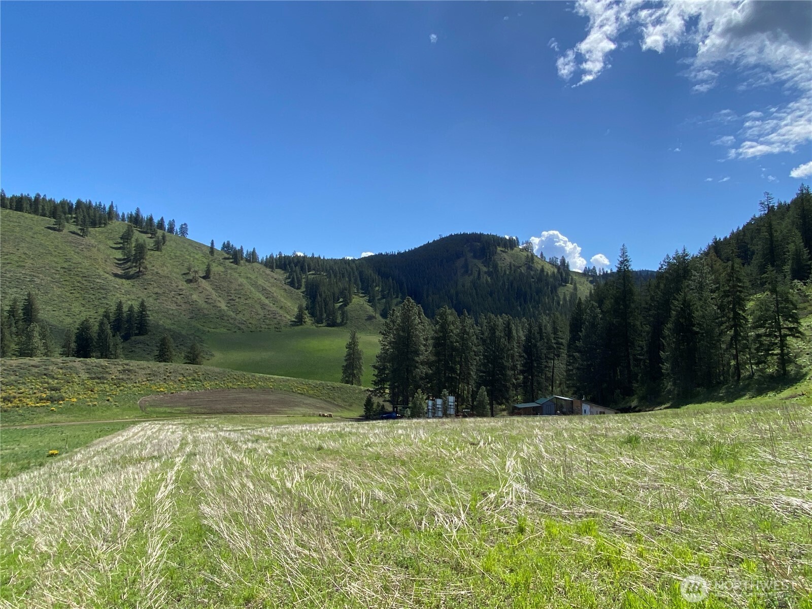 102 Elbow Canyon Road Twisp, WA 98856 - Photo 18 of 33