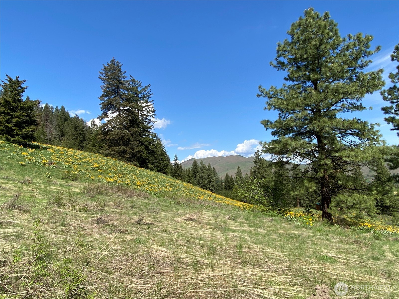 102 Elbow Canyon Road Twisp, WA 98856 - Photo 19 of 33