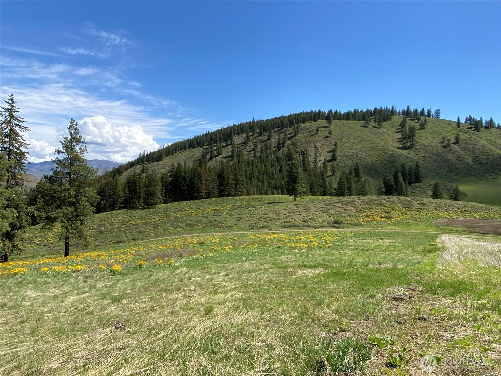102 Elbow Canyon Road Twisp, WA 98856 - Photo 20 of 33