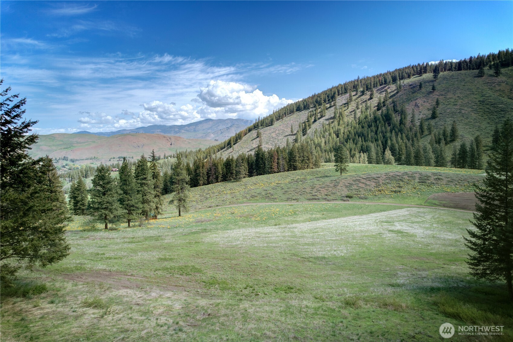 102 Elbow Canyon Road Twisp, WA 98856 - Photo 22 of 33