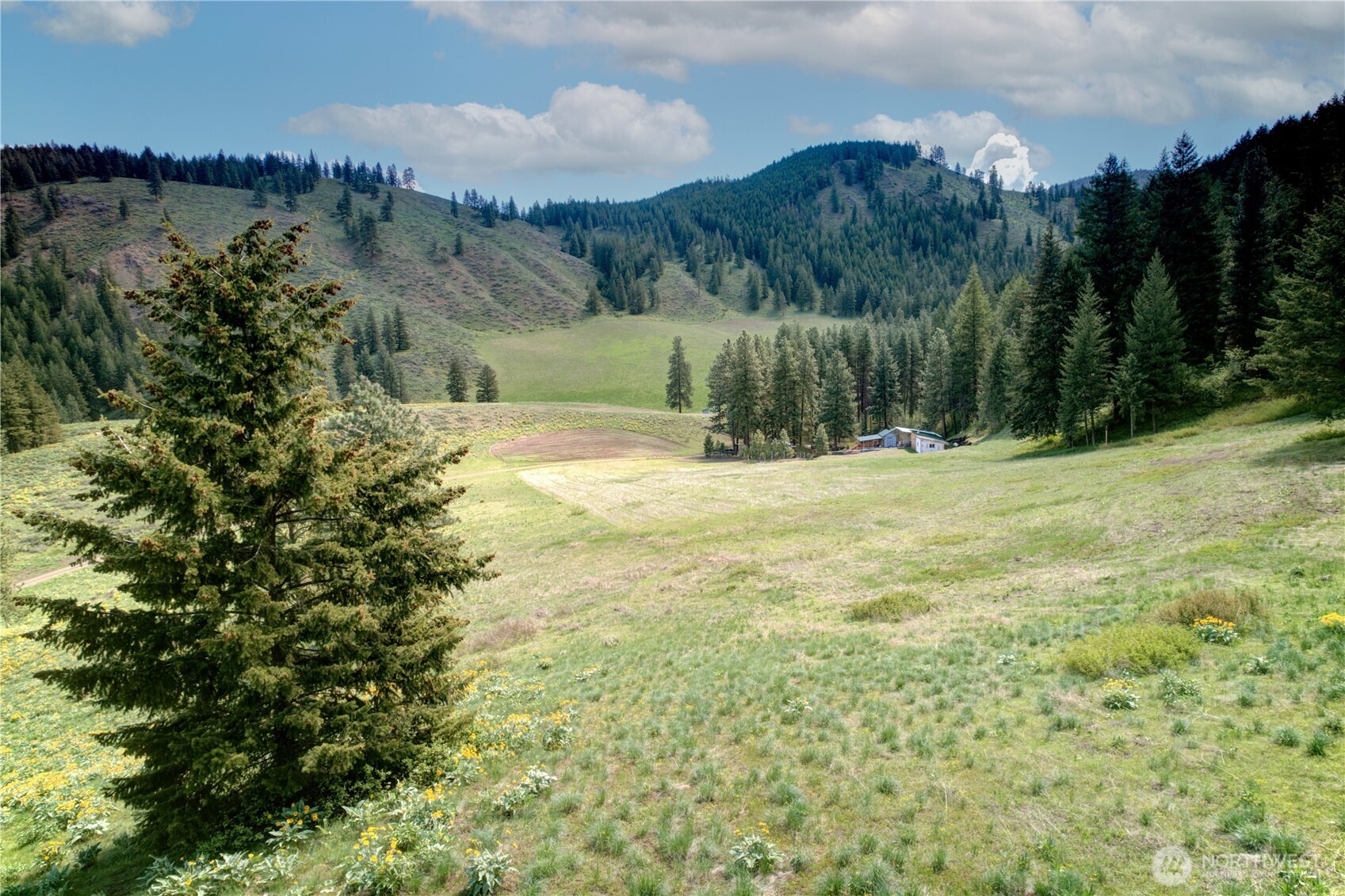 102 Elbow Canyon Road Twisp, WA 98856 - Photo 25 of 33
