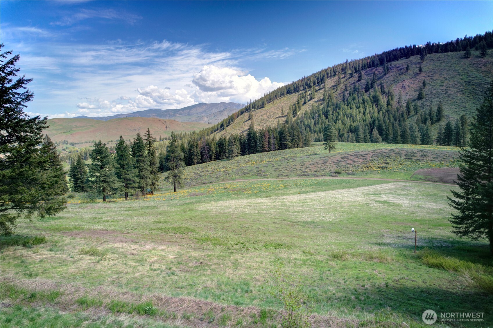 102 Elbow Canyon Road Twisp, WA 98856 - Photo 27 of 33