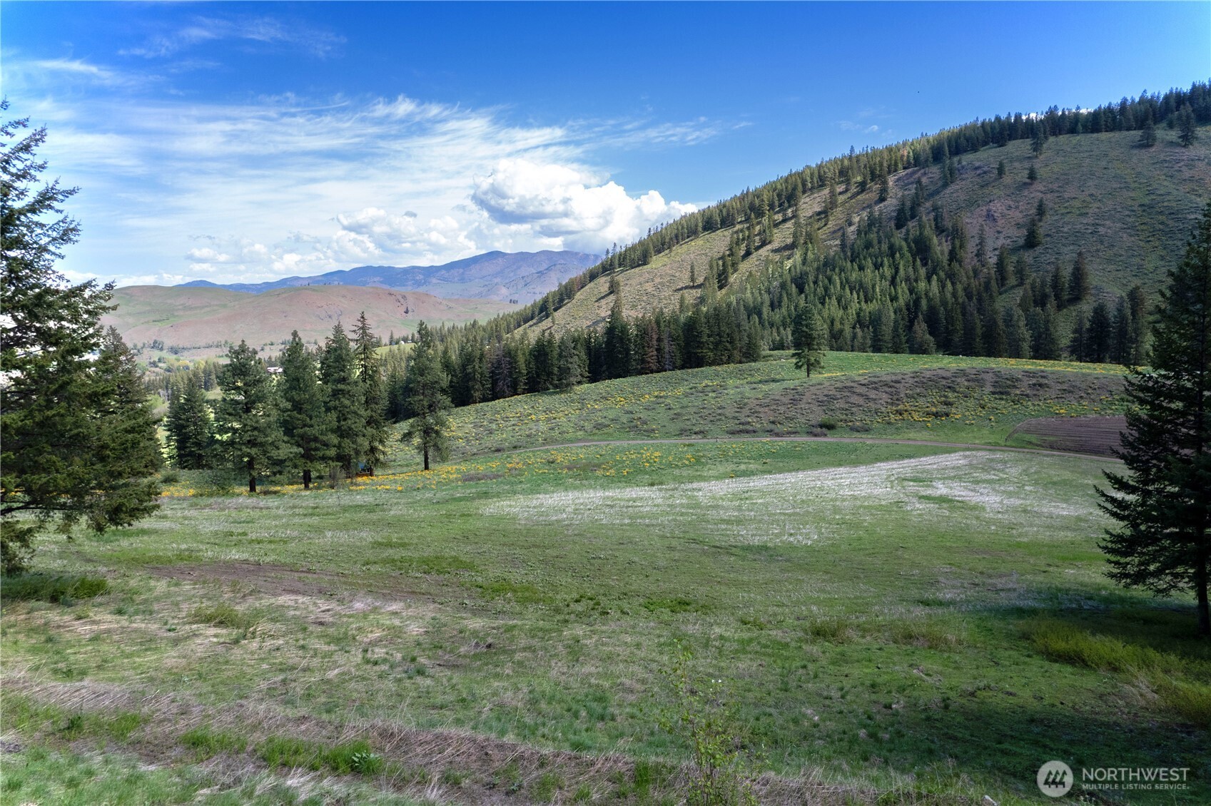102 Elbow Canyon Road Twisp, WA 98856 - Photo 31 of 33