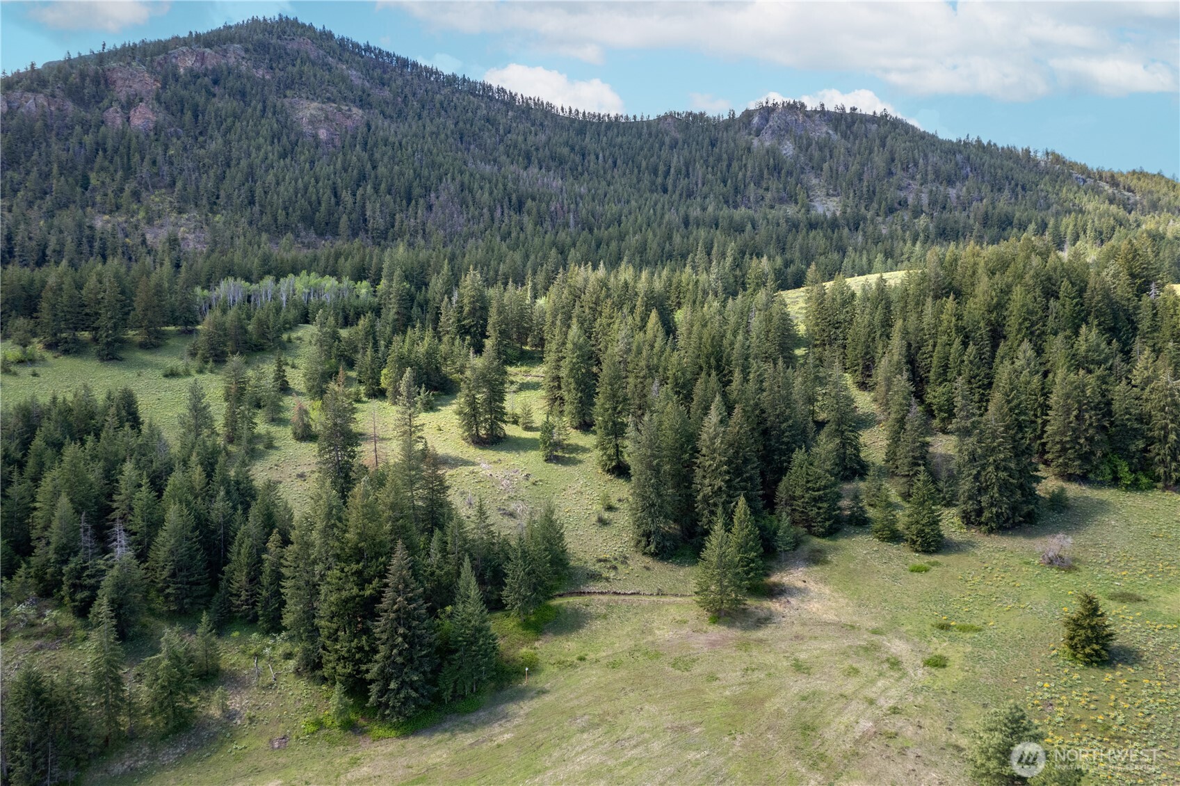 102 Elbow Canyon Road Twisp, WA 98856 - Photo 4 of 33
