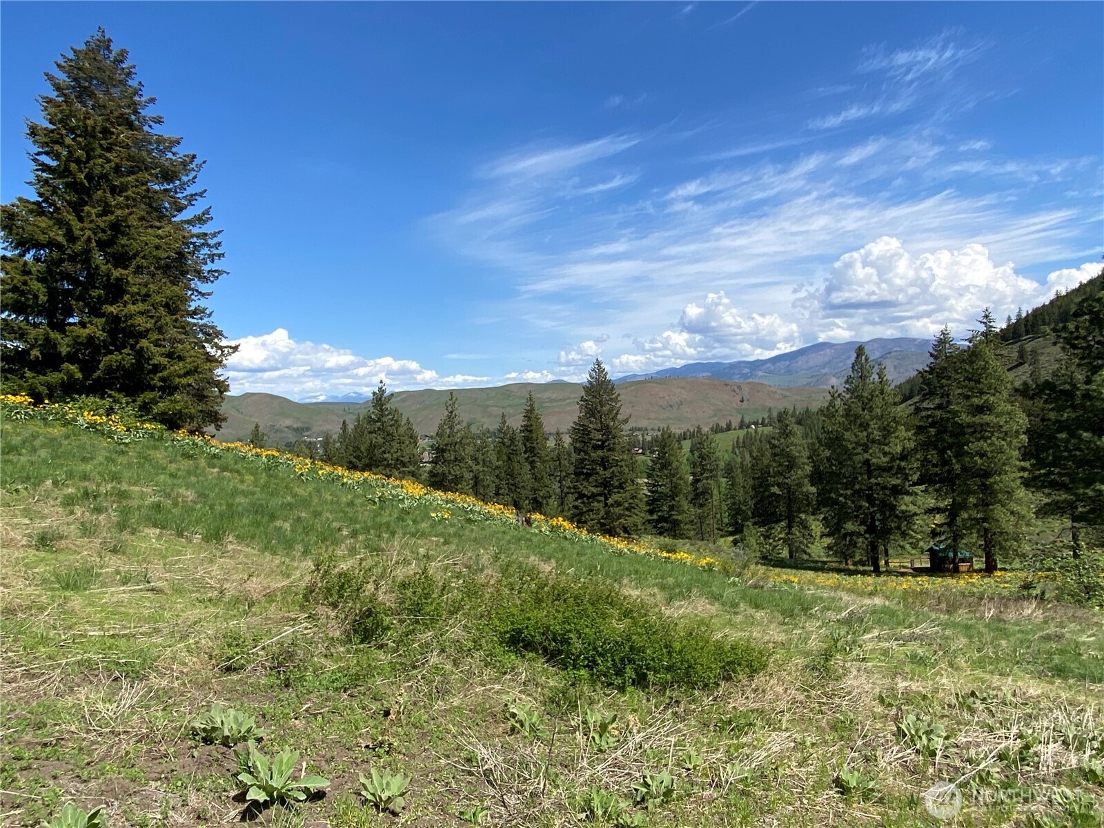 102 Elbow Canyon Road Twisp, WA 98856 - Photo 6 of 33