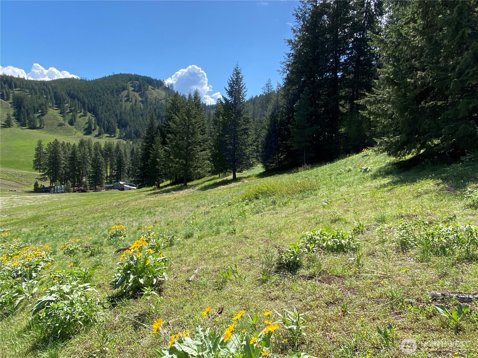 102 Elbow Canyon Road Twisp, WA 98856 - Photo 8 of 33