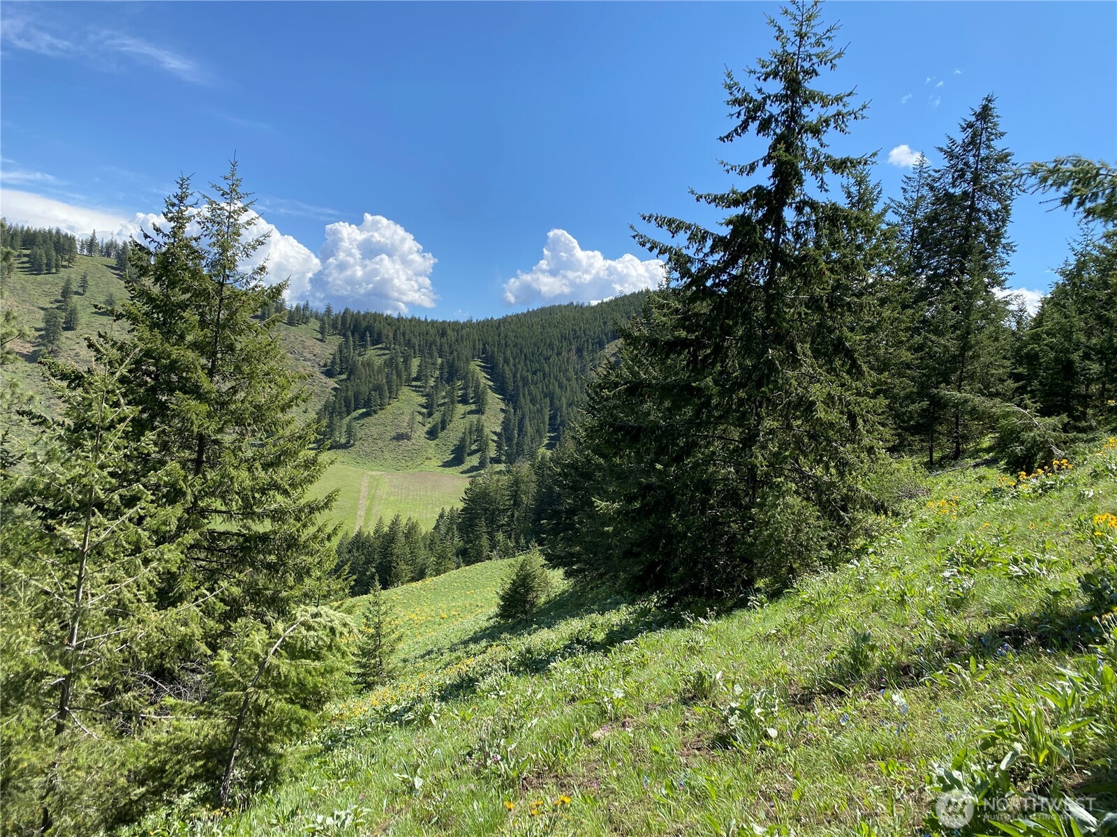 102 Elbow Canyon Road Twisp, WA 98856 - Photo 10 of 33