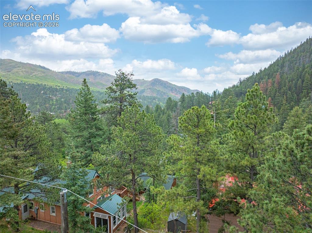 4390 Prairie Street Cascade, CO 80809 - Photo 25 of 26