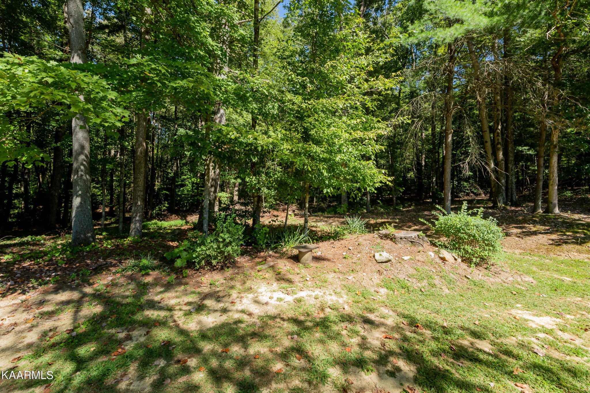 386 Back Valley Road Oliver Springs, TN 37840 - Photo 52 of 59 Gallery Image 52