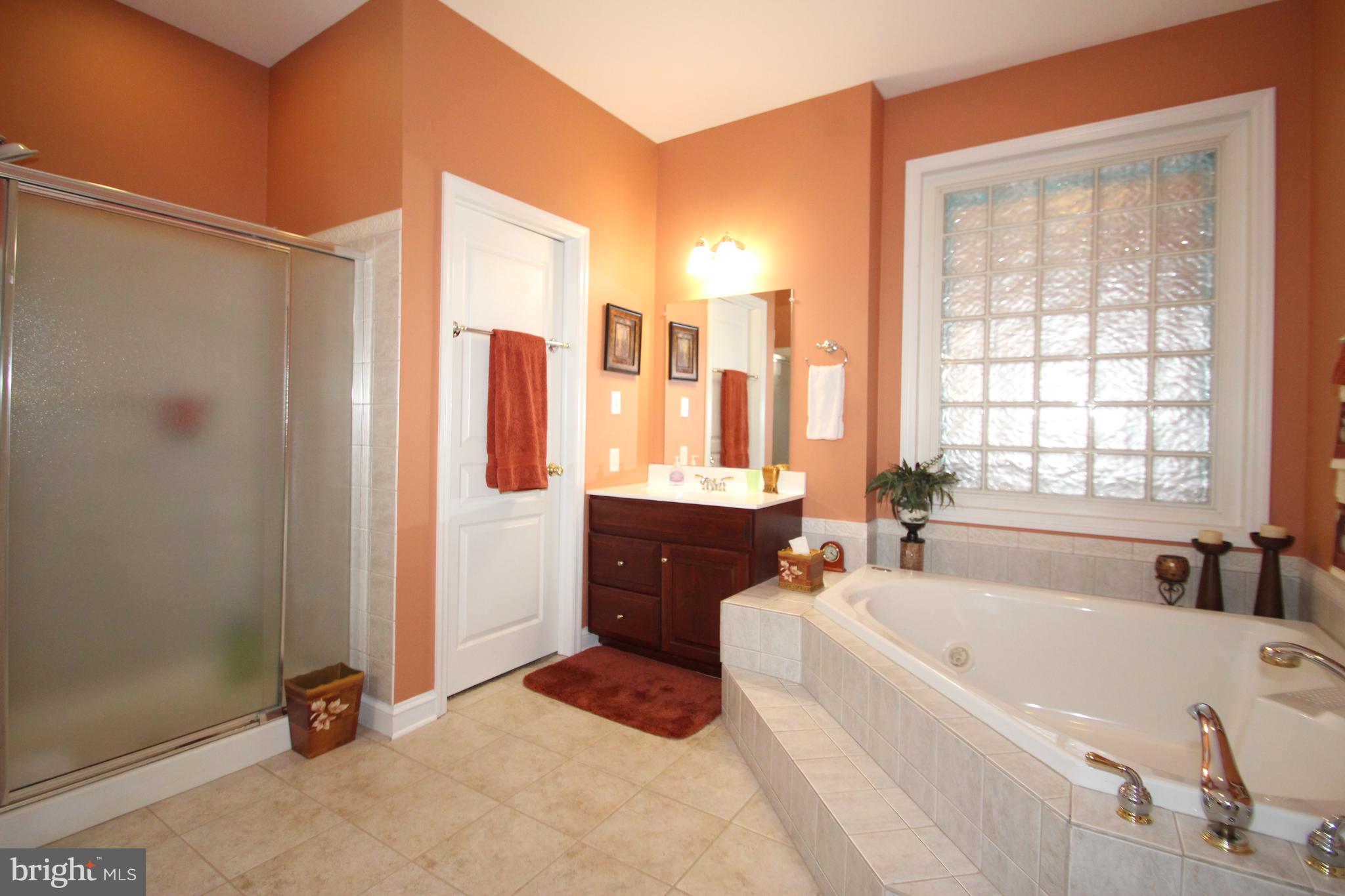 456 Little Egypt Road Elkton, MD 21921 - Photo 11 of 27 Primary Bath