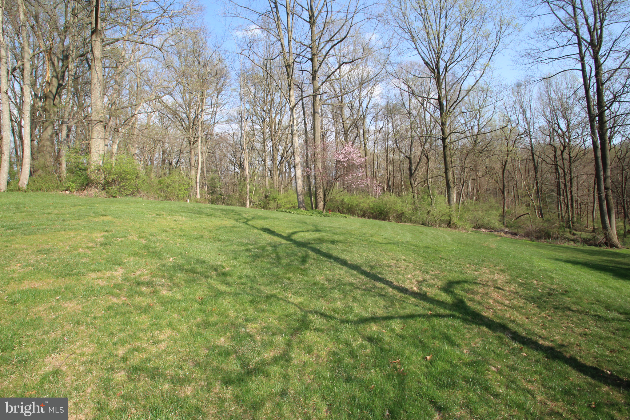 456 Little Egypt Road Elkton, MD 21921 - Photo 25 of 27 Yard