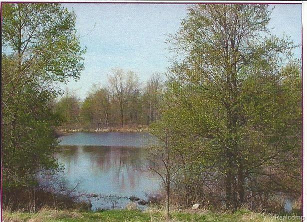 330 South Kane Road Webberville, MI 48892 - Photo 1 of 1