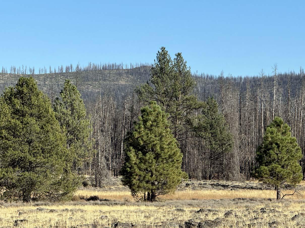 Bull Pine Road, Unit 500 400 300 Beatty, OR 97621 - Photo 20 of 50 IMG_4204
