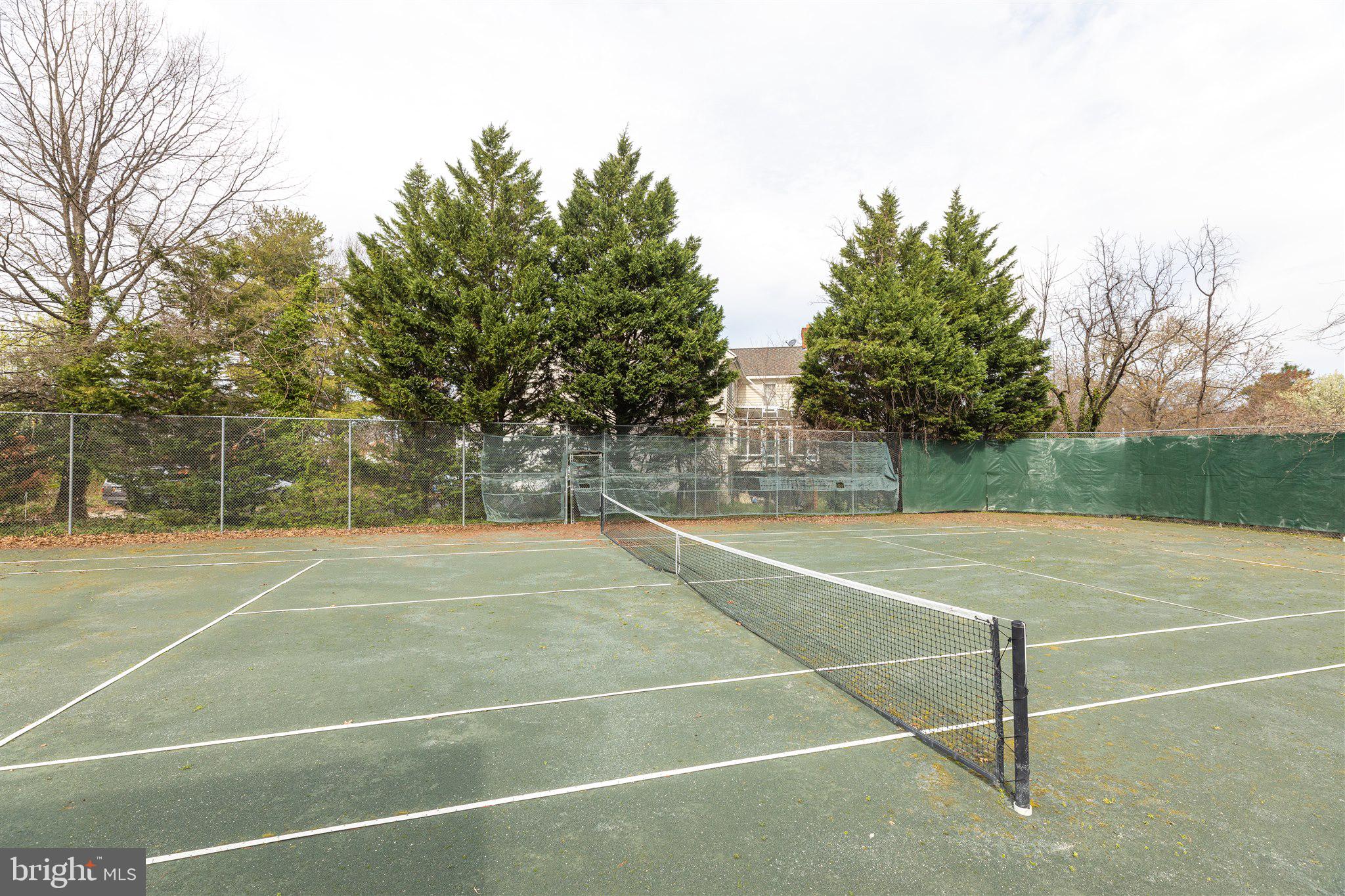 4421 Seminary Road Alexandria, VA 22304 - Photo 80 of 101 Tennis Court