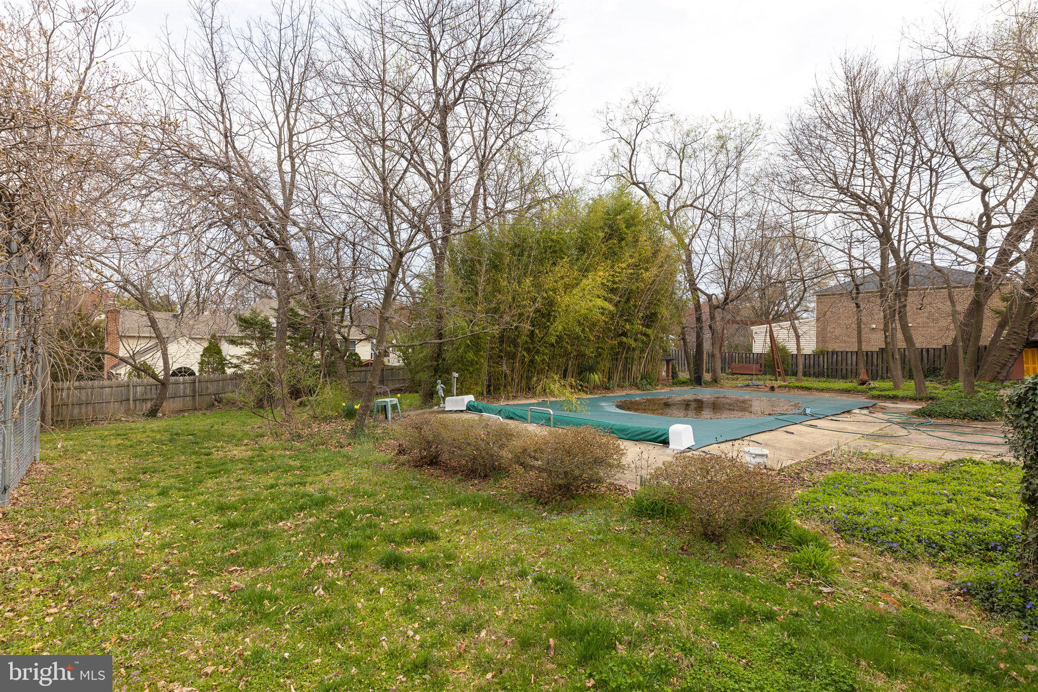 4421 Seminary Road Alexandria, VA 22304 - Photo 88 of 101 Pool