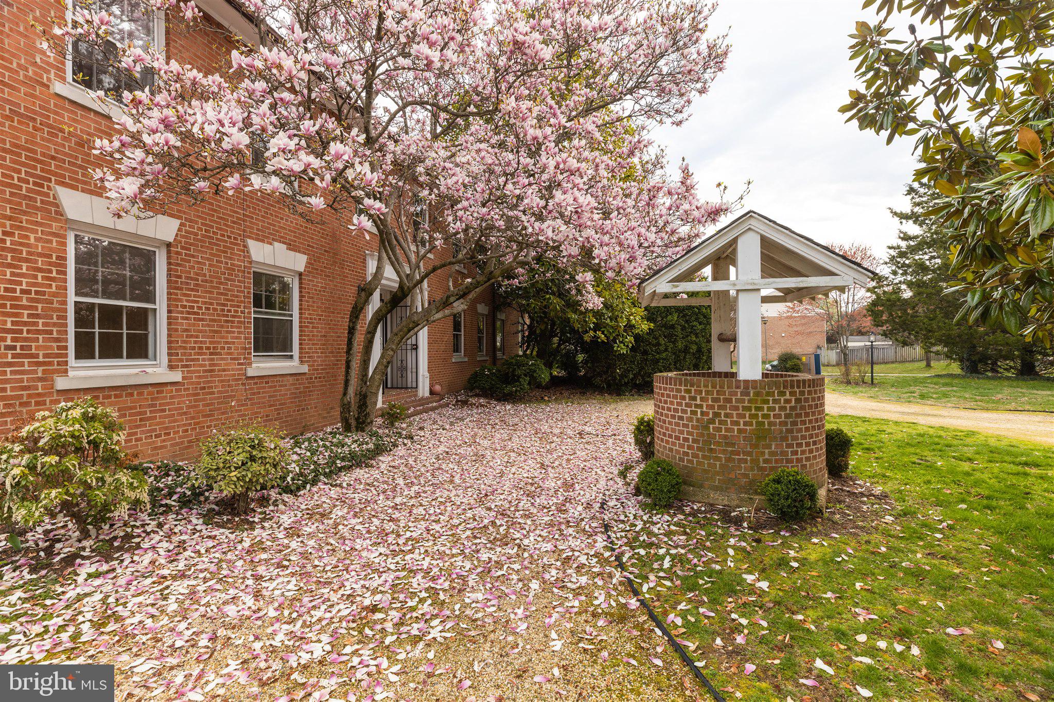 4421 Seminary Road Alexandria, VA 22304 - Photo 10 of 101 Front