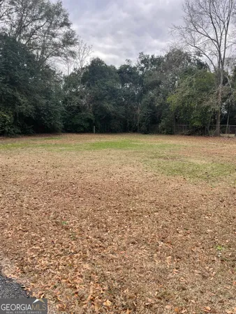 a view of backyard with green space