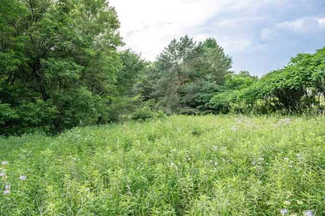 $68,875 | 4.75-ac 4.75-ac Fish, Montello, WI 53949