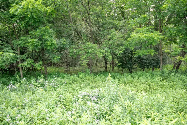 $68,875 | 4.75-ac 4.75-ac Fish, Montello, WI 53949