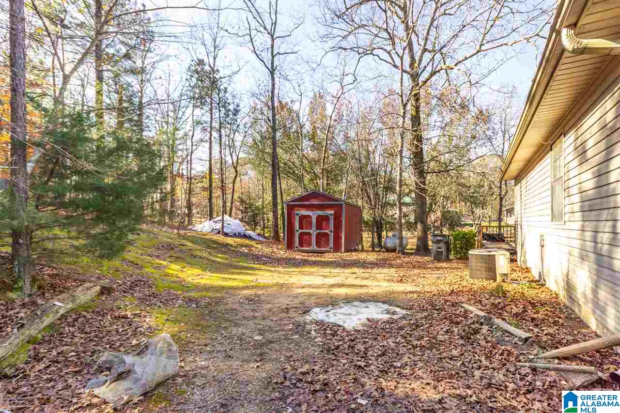 333 Riverview Lane Ohatchee, AL 36271 - Photo 32 of 50