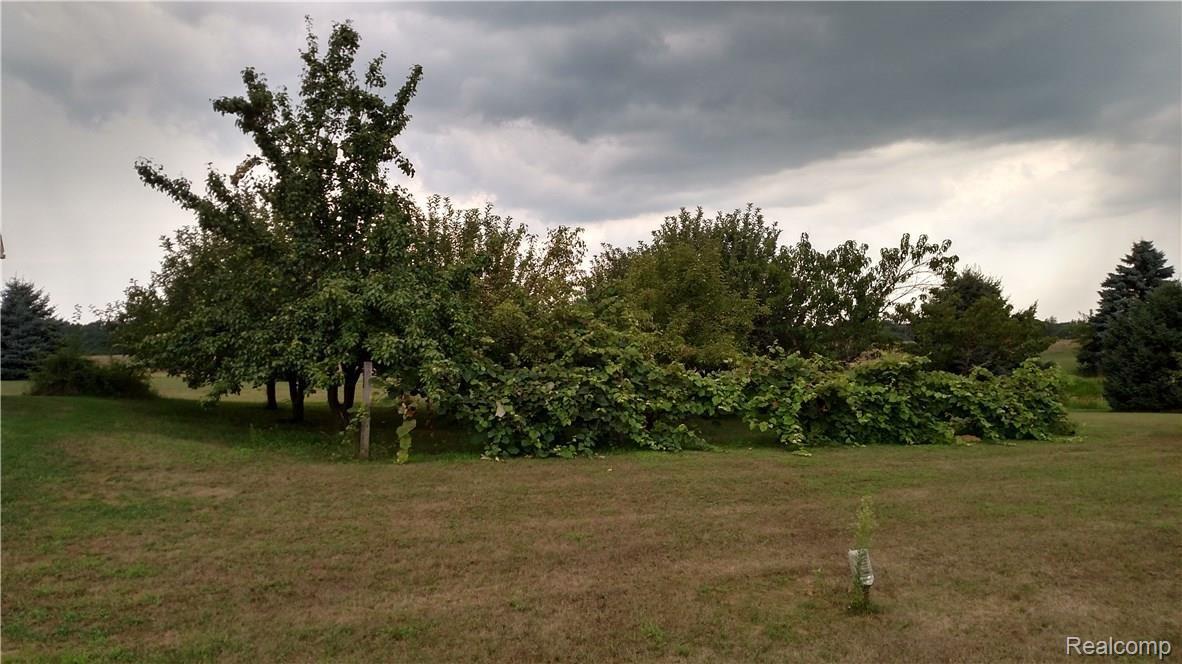 5984 Brockway Road Peck, MI 48466 - Photo 24 of 24 This is a view of the orchard.