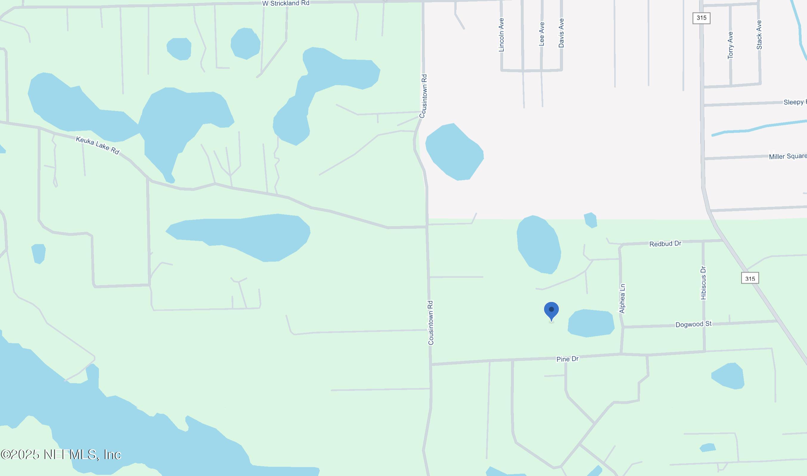 0 Pine Drive Interlachen, FL 32148 - Photo 4 of 4 a bathroom with a shower