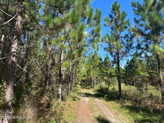 $150,000 | 565 Southwest Daisy Road, Lake City, FL 32024