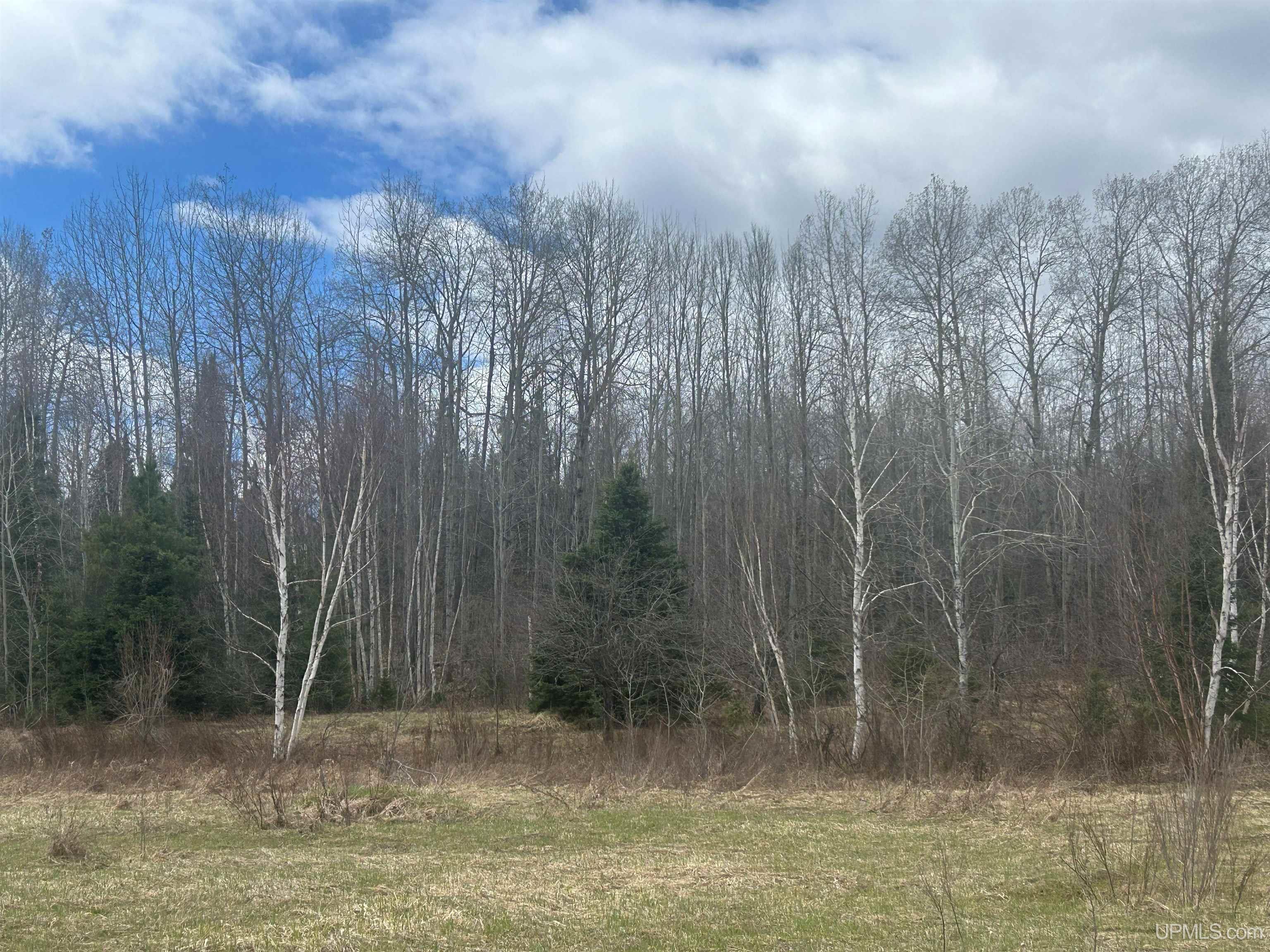 Tbd 10-1 Mill Pond Road Trout Creek, MI 49967 - Photo 11 of 23