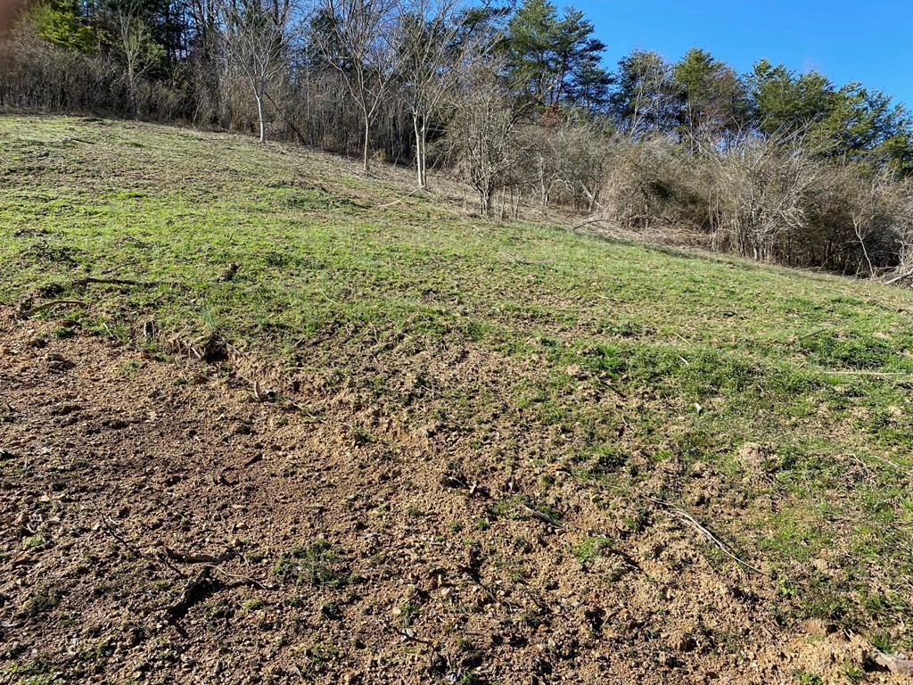 0 Dixon Branch Road Sevierville, TN 37876 - Photo 6 of 8