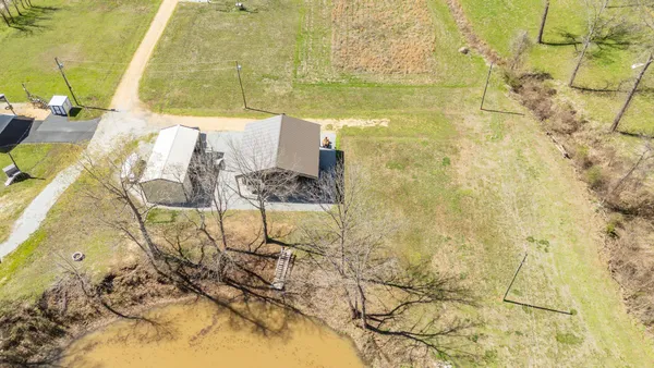 a view of a yard with a tree