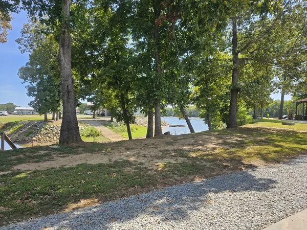 a view of a yard with a tree