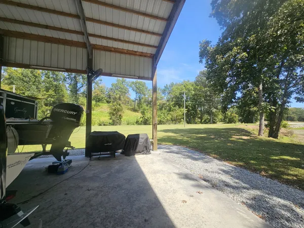 a view of a yard with plants