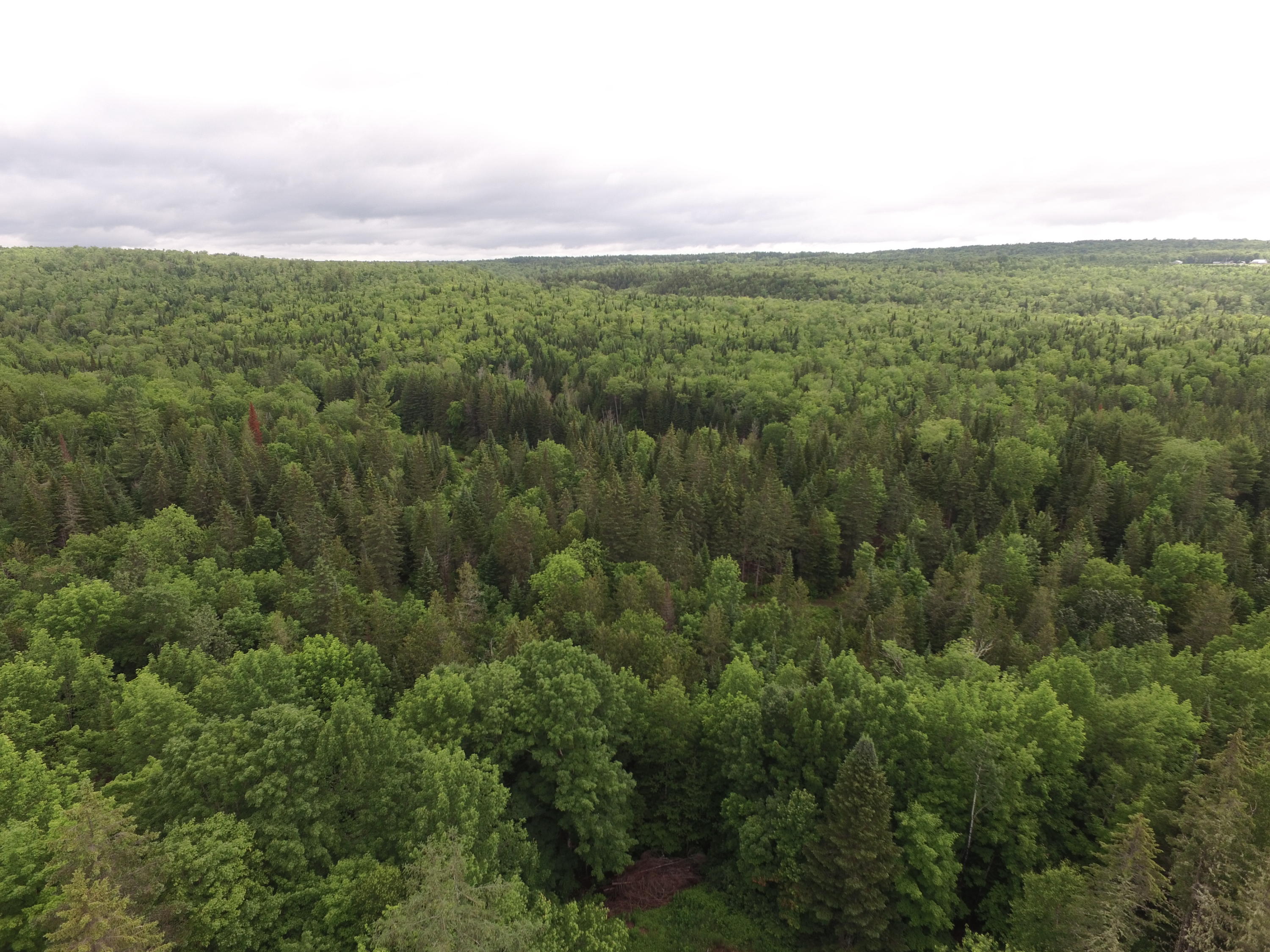1661 Ludlow Road Houlton, ME 04730 - Photo 31 of 63 DJI_0085