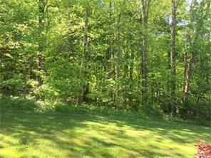 512 Central School Road Grindstone, PA 15442 - Photo 5 of 24 Acres of woodlands for hiking and enjoying nature!
