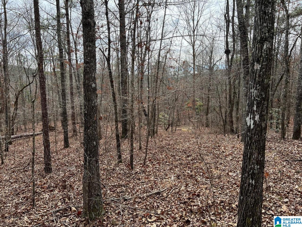 Plyers Mill Road, Unit 43 Alexander City, AL 35010 - Photo 20 of 27