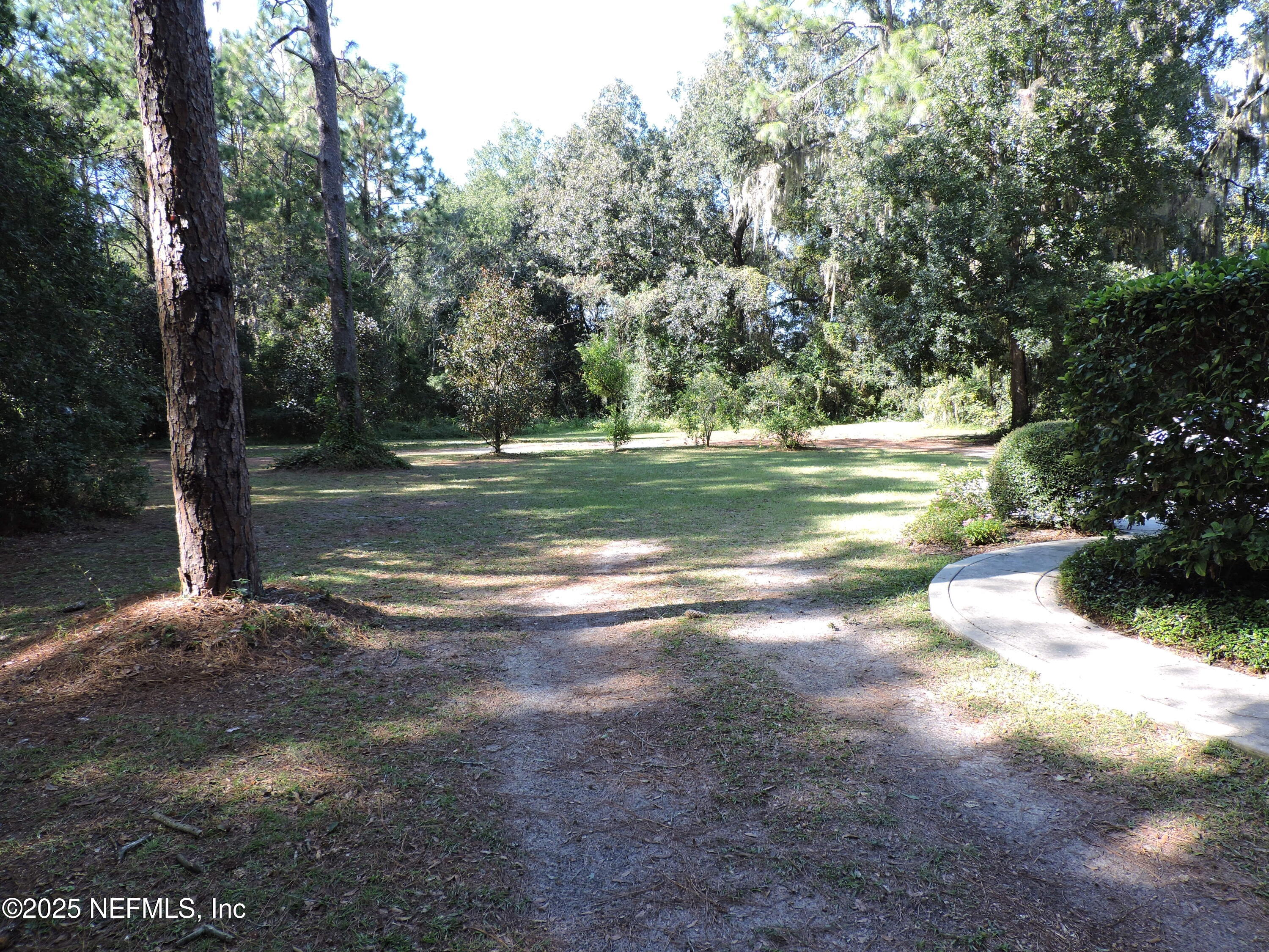 2935 New Berlin Road Jacksonville, FL 32226 - Photo 12 of 45 a view of a yard with large trees
