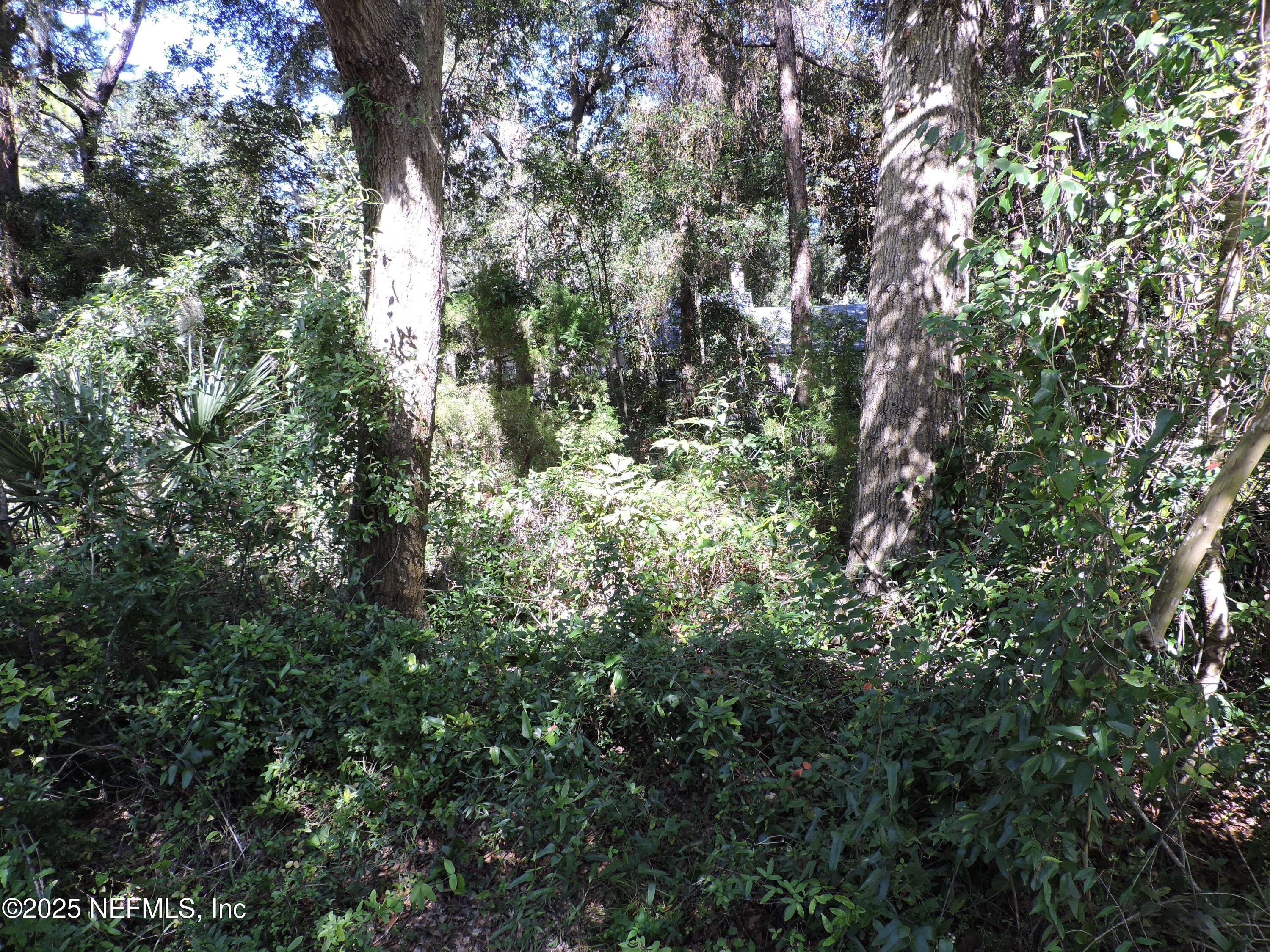 2935 New Berlin Road Jacksonville, FL 32226 - Photo 13 of 45 a view of a yard with a tree