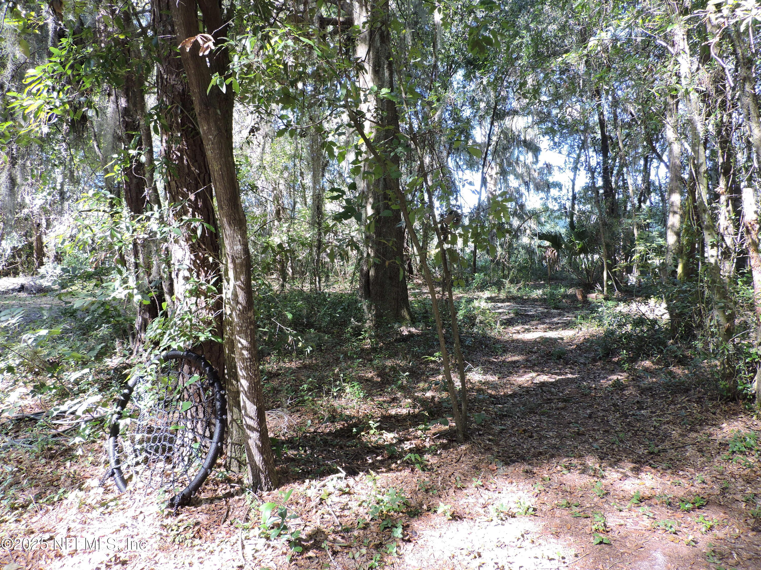 2935 New Berlin Road Jacksonville, FL 32226 - Photo 17 of 45 a backyard of a house with lots of green space