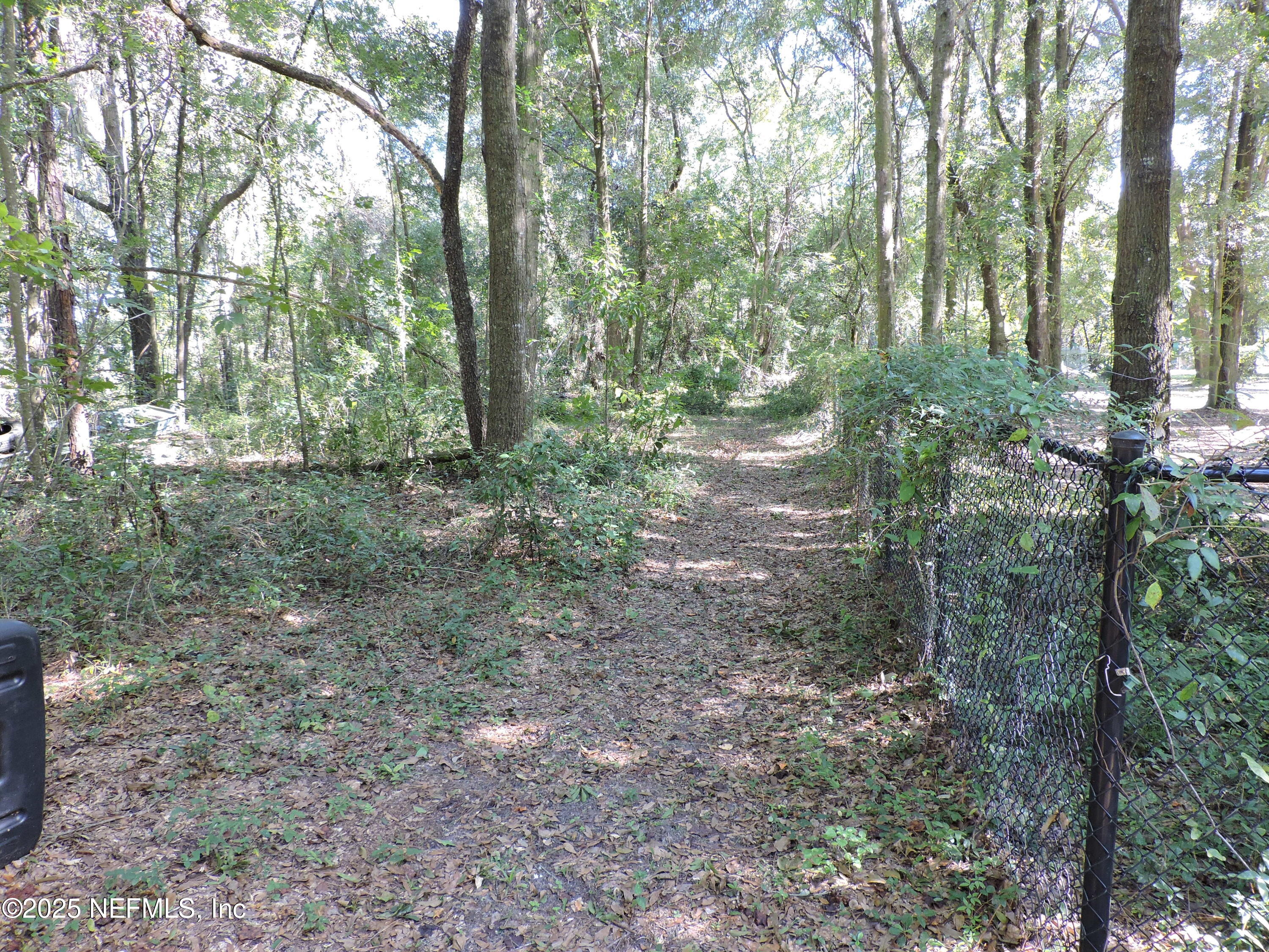2935 New Berlin Road Jacksonville, FL 32226 - Photo 2 of 45 a view of a forest that has large trees