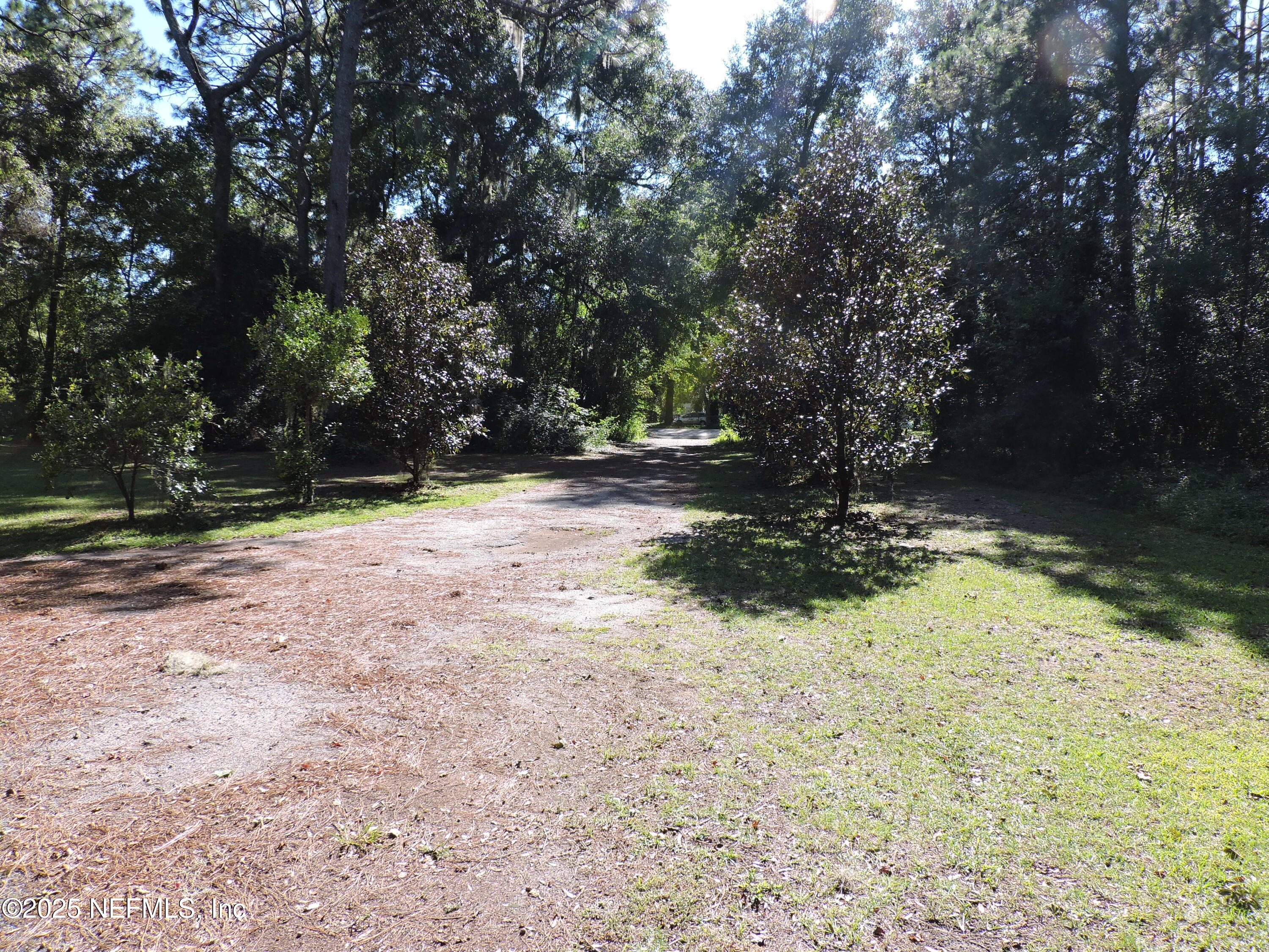 2935 New Berlin Road Jacksonville, FL 32226 - Photo 21 of 45 a view of a yard with trees