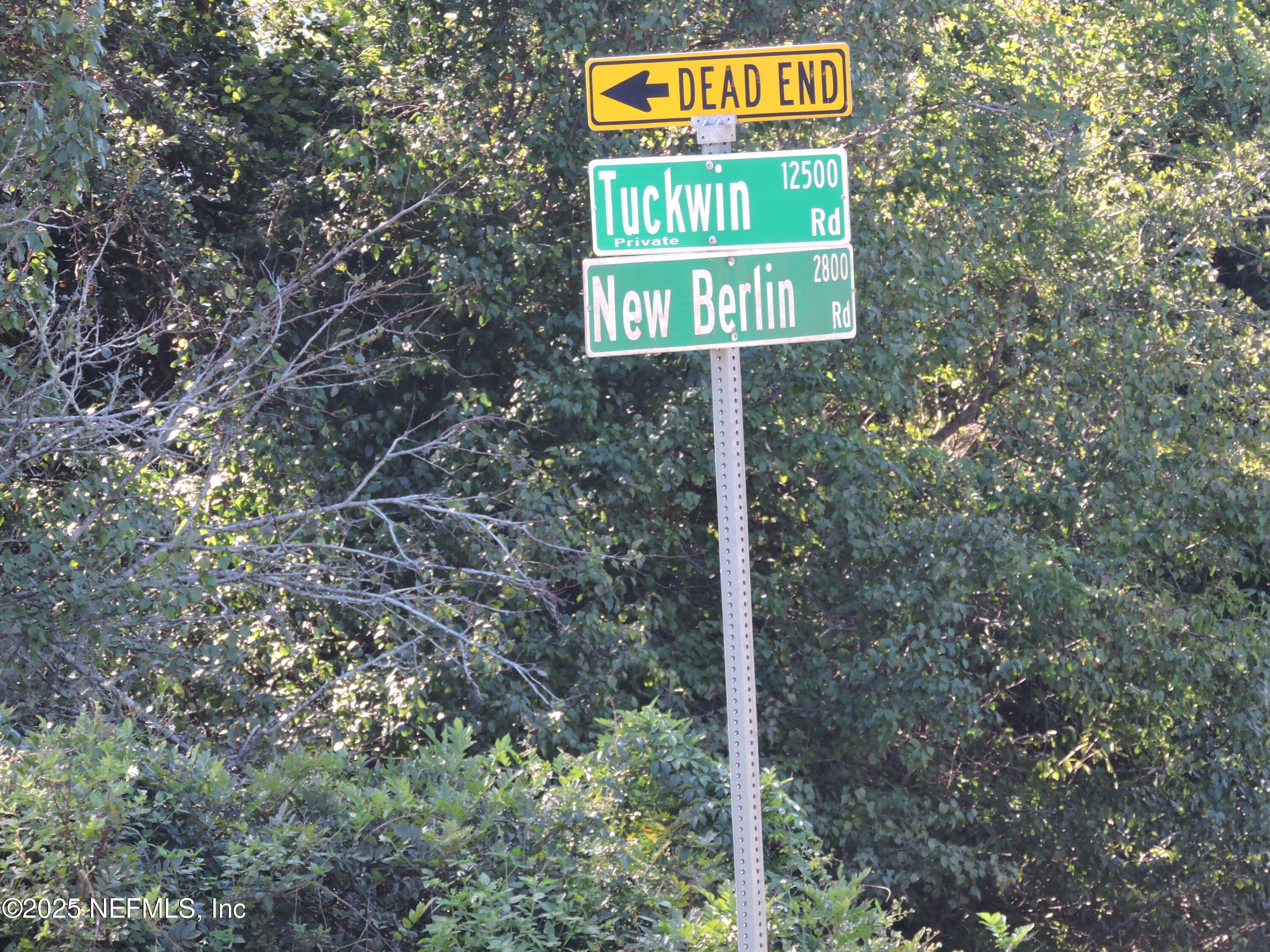 2935 New Berlin Road Jacksonville, FL 32226 - Photo 33 of 45 a sign broad on the tree