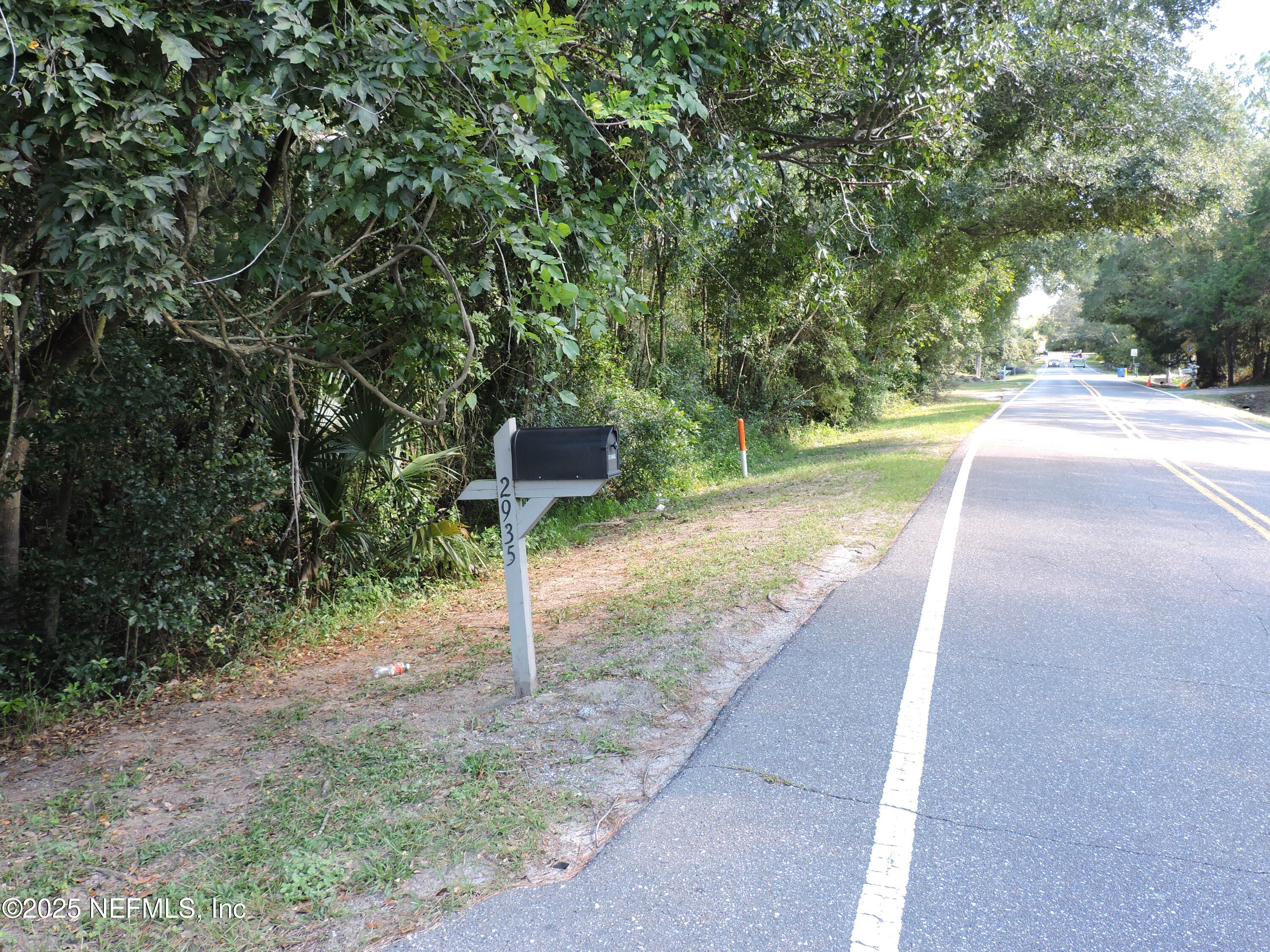 2935 New Berlin Road Jacksonville, FL 32226 - Photo 4 of 45 a view of a yard with plants and trees