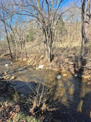 a view of a yard with plants and trees