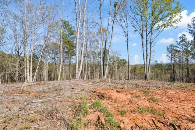 $110,000 | 103 Blalock Mountain Road, Talking Rock, GA 30175