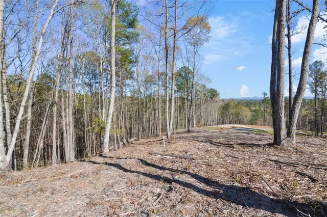 $110,000 | 103 Blalock Mountain Road, Talking Rock, GA 30175