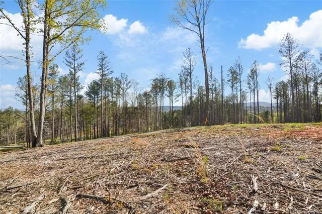 $110,000 | 103 Blalock Mountain Road, Talking Rock, GA 30175