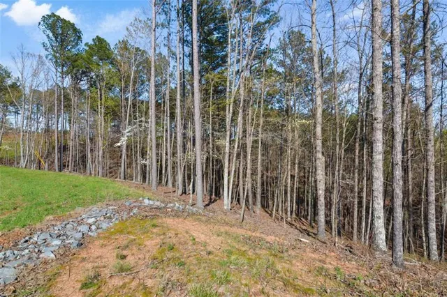 $110,000 | 103 Blalock Mountain Road, Talking Rock, GA 30175