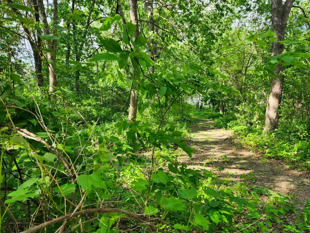 $29,900 | Gingers, Muscoda, WI 53573